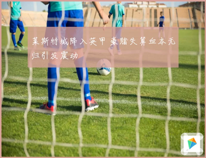 莱斯特城降入英甲 豪赌失算血本无归引发震动