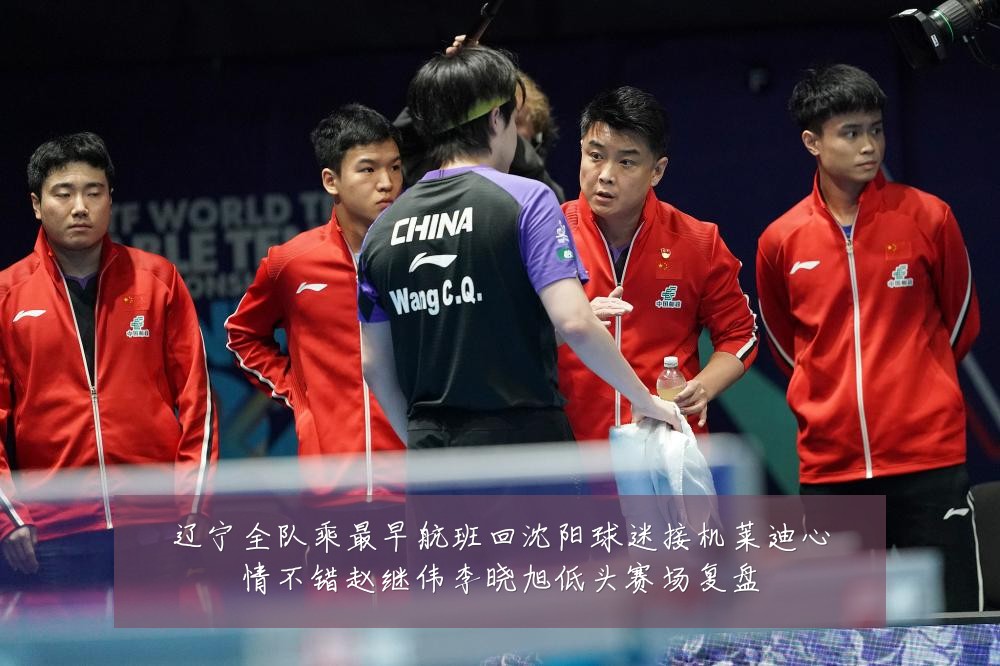 辽宁全队乘最早航班回沈阳球迷接机莱迪心情不错赵继伟李晓旭低头赛场复盘